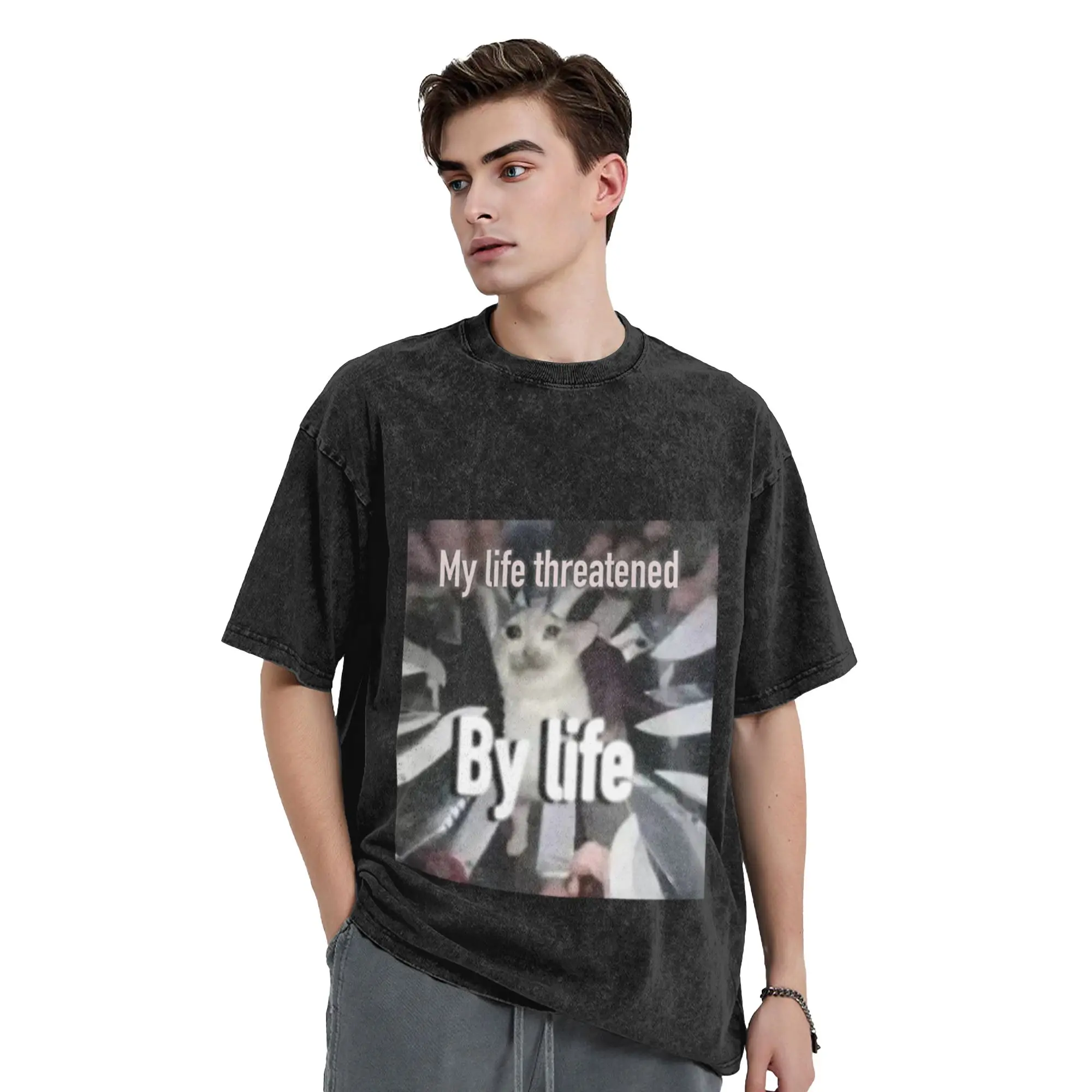Cat meme about life Classic Trendy A Washed T Shirt Men's Oversized Cotton Tees Tops