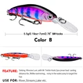 color  B