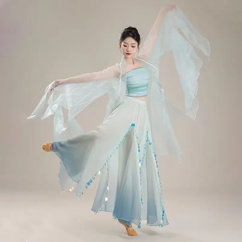 Chinese Classical dancer performance costumes elegant cardigan practice clothes body rhyme long outer Chinese style folk dance