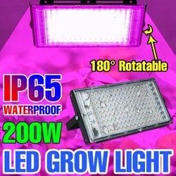 植物用のフルスペクトル植物ランプ,水耕栽培用の植物ランプ,温室,花の種,200W