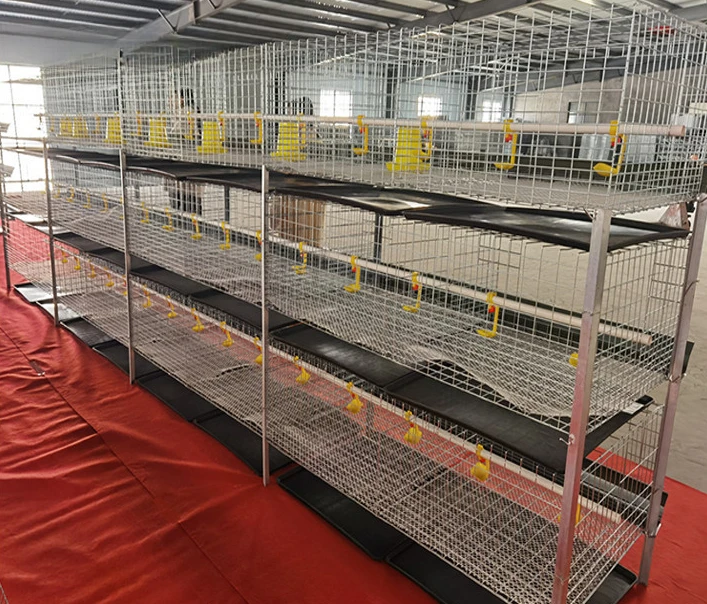 

3 Tier Broiler Cages Holds 60 broilers Complete Low Carbon Cold Drawn Steel Wire Farming Equipment