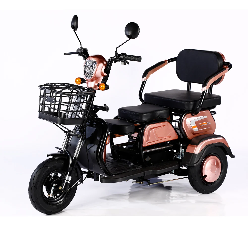

2023 Hot Sale 600W 48V 3 Wheel Electric Bicycle Adult Electric Tricycle Cargo Ebike Without Basket