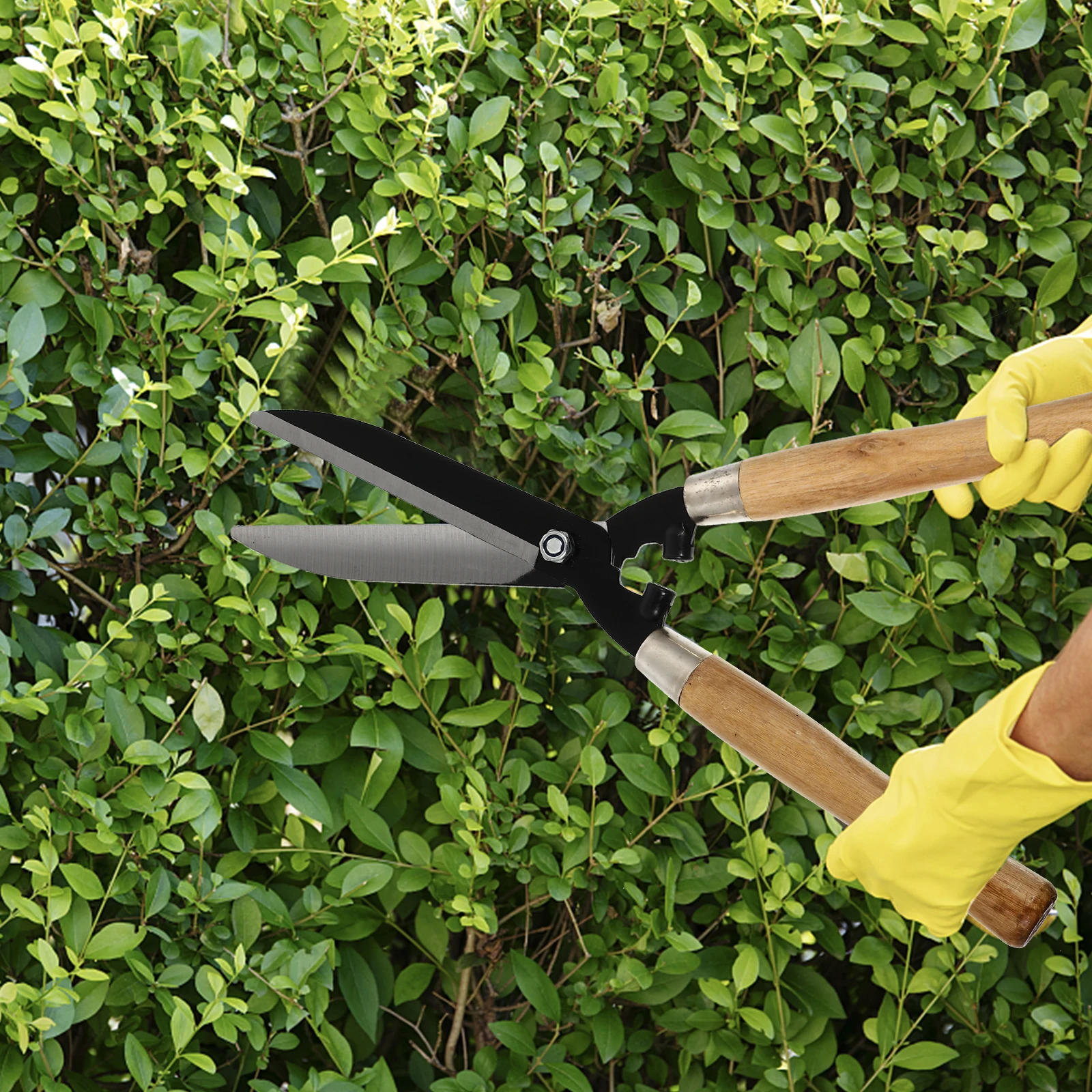 

1Pcs Fence Pruning Shears Wooden Handle Tree Cutter Garden Tool Sharp Durable Branch Scissors for Gardening Hedge Cutting