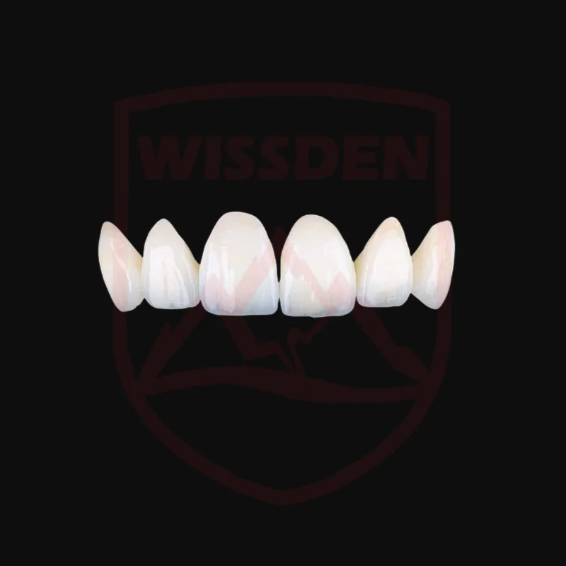618-Wissden bloki stomatologiczne z cyrkoniami wielowarstwowy Gradient STML materiał eksploatacyjny do laboratorium dentystycznego 98,12-30mm
