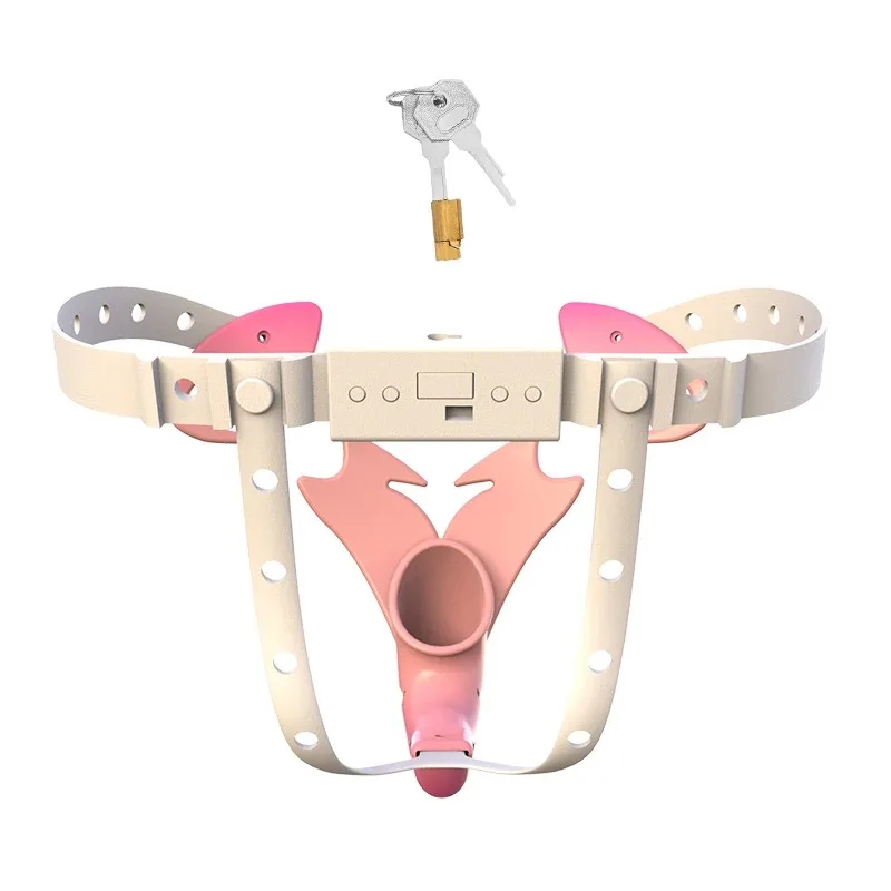 The Devil's Eye Chastity Cage Sissy Chastity Lock Adjustable Chastity Pants Device Sex Toy for Man Gay BDSM Bondage Cock Cage view 2