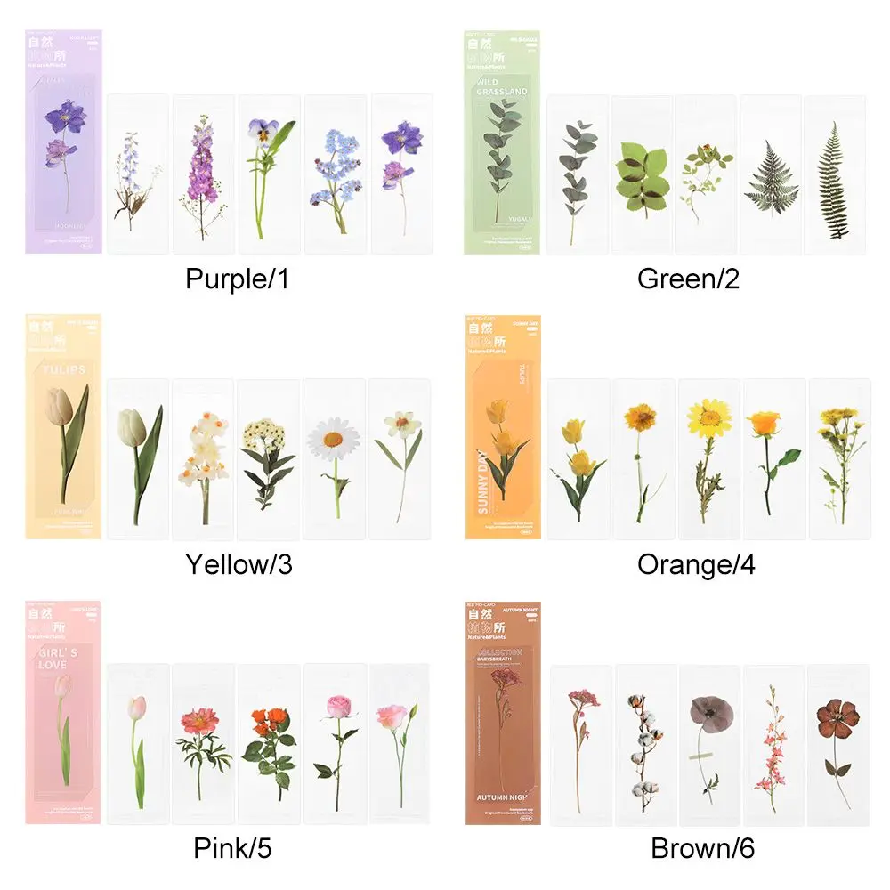 Natureza Plantas Flower Ins Estilo Translúcido Bookmarks, Livro Nota Marcador, Porta-página, Leitura do cartão, Titular do cartão PET, 5pcs por conjunto