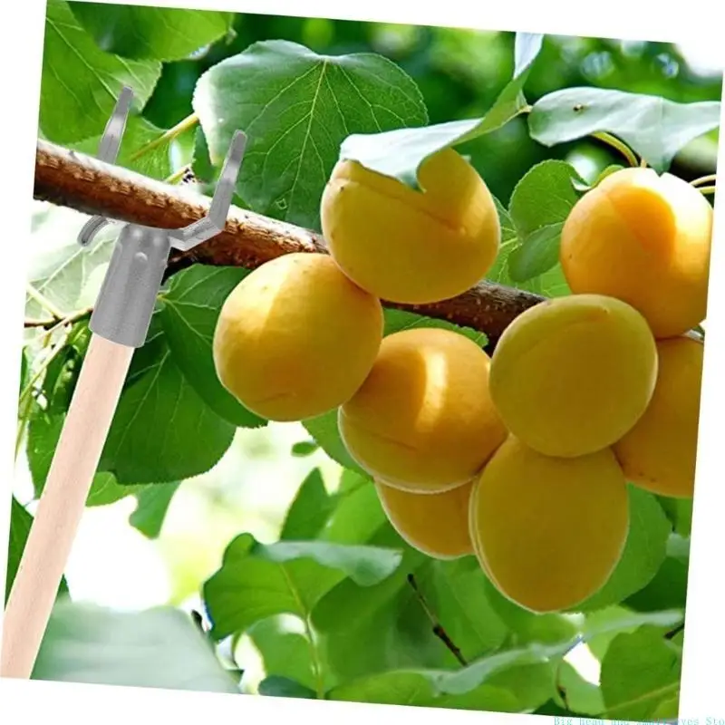 

581C 6Pieces Aluminium Alloy Plant Support Poles Reusable Tree Stakes Suitable for Orchards and Garden Use for Tree Stability