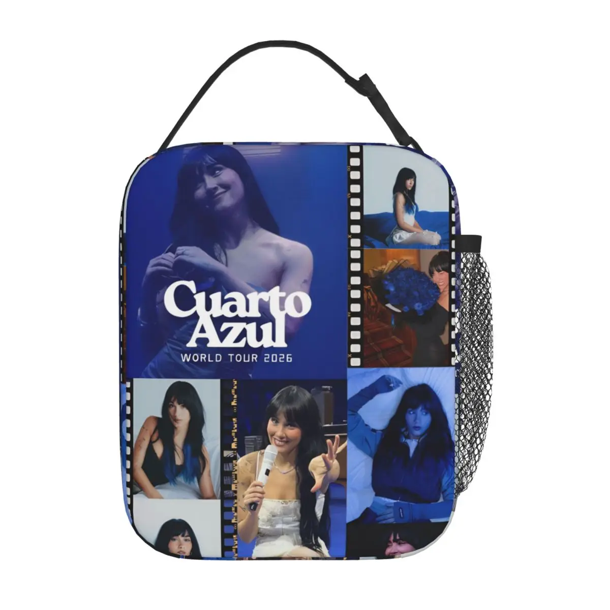 Singer Aitanaed Insulated Lunch Bag Cooler Bag  Meal Container Large Tote Lunch Box Food Storage Bags Beach Outdoor