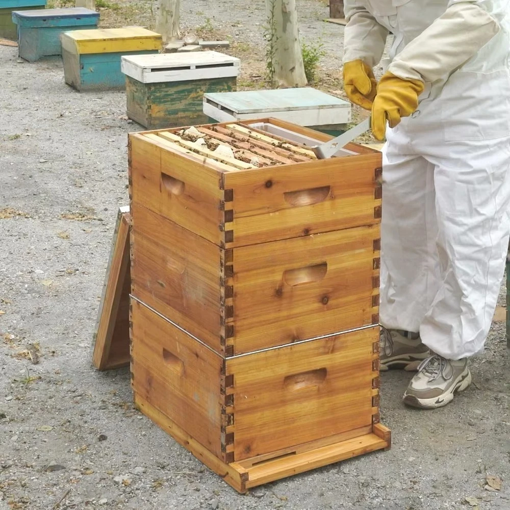 Kompletny, 3-warstwowy, woskow – Beehive Frame Wax recenzja i cena