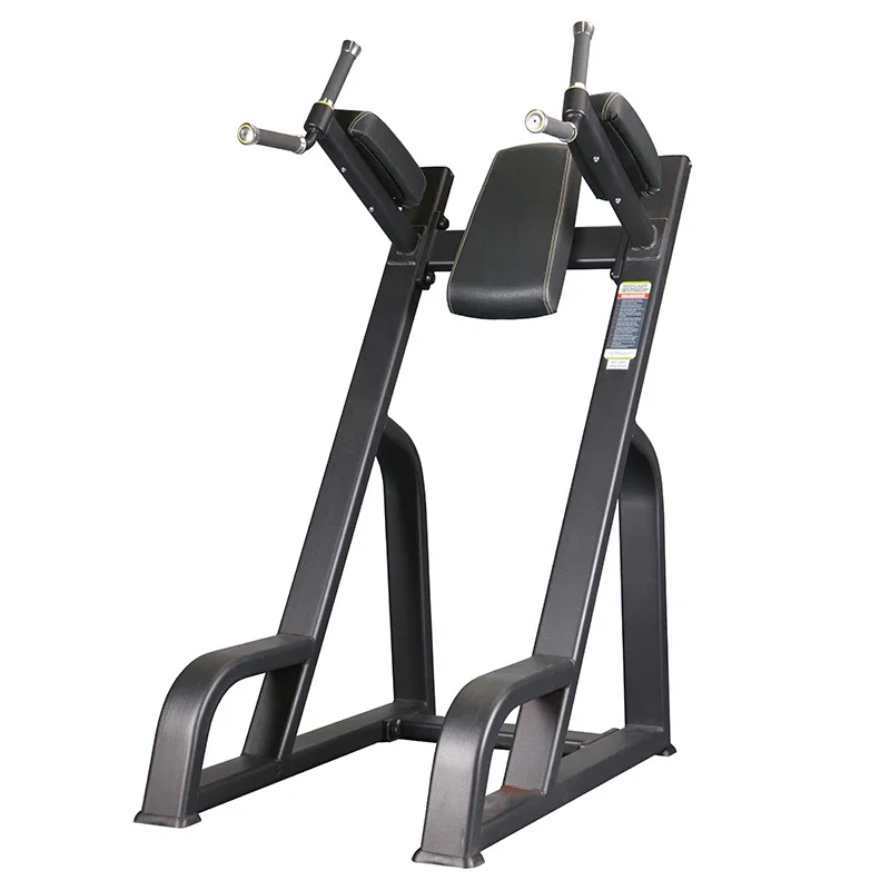 Shandong dezhou EM Fitness new products EM1041 Knee raise machine fitness equipment