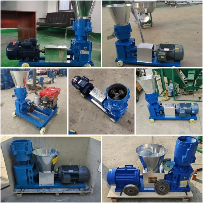 

New High Productivity Alloy Material Wood & Feed Pellet Press Machine Custom Voltage Household Pelletizer With