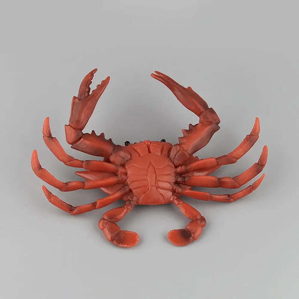 Sea Animal Red Crab Models Simulation Crabs Figurine Scenes Making Micro Landscape Realistic Gift  Kids Cognition Toy