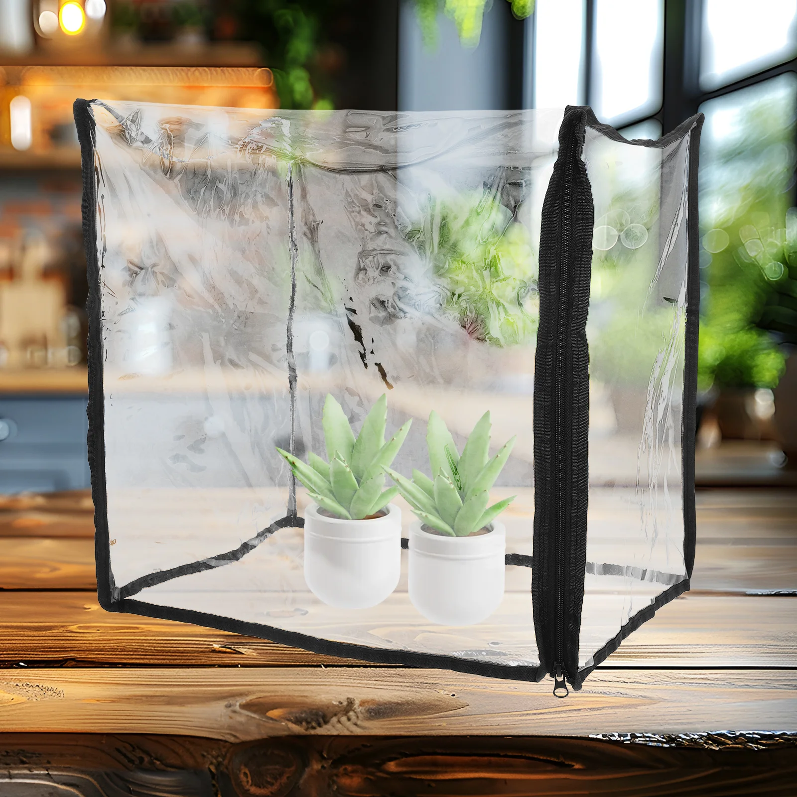 

Mini Succulent Greenhouse Cover Miniature Portable Plant Shelter Indoor Tabletop Garden Display Clear Plant Freeze Protection