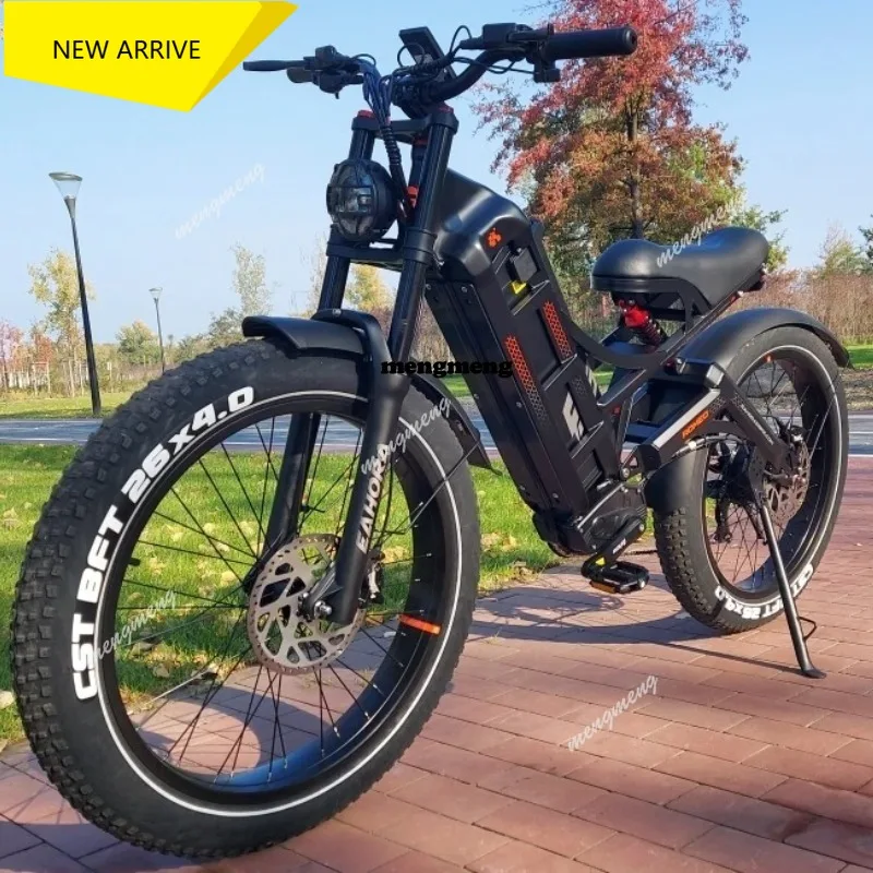 250w 750w 100ow 300ow Ebike 2*120N-m 52v 60ah Large Capacity Battery Electric Bicycle Electric B