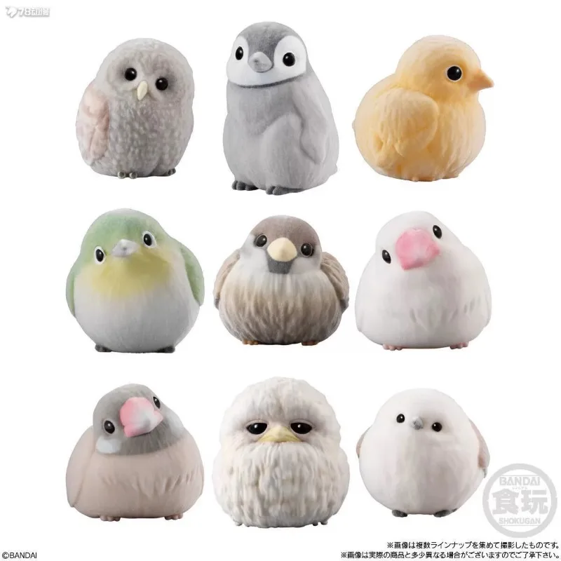 Spot Bandai Paw Paw Little Moe Friend Bird Flocking Furry Set Cinnamon Bunbird Snow Goblin Food Toys Action Figures Kids Toys