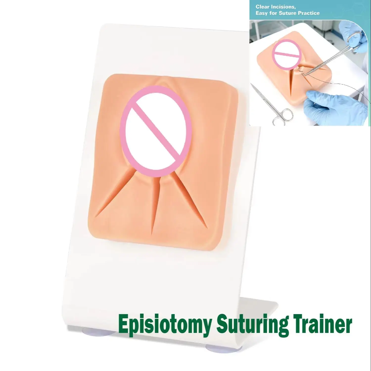 Female Episiotomy Suturing Trainer Model Perineal Repair Practice Layered Closure & Knot Tying for Medical Midwifery Education