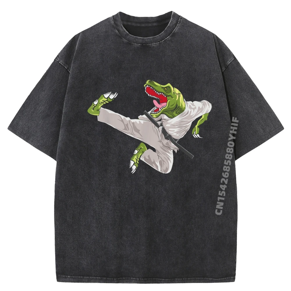 

Dinosaur Karate Taekwondo Mixed Martial Arts Mma Kung Fu Blue And White Graphic T Shirts Mens Soft Washed Camisetas Hombre
