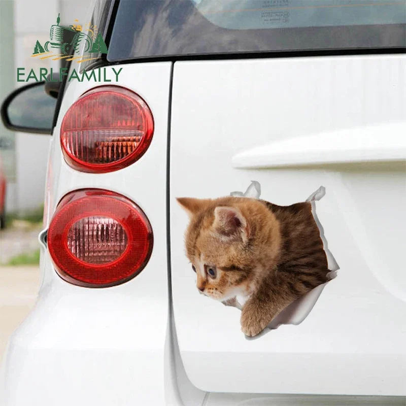 EARLFAMILY 13cm x 12.8cm for Torn Cat Auto Car Accessories Stickers Waterproof Decal Motorcycle Campervan Creative Decals Decor