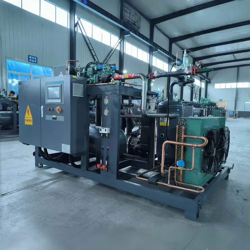 380V Stainless Steel Semi-Hermetic Reciprocating Compressor for Blast Freezer Catalogue Price Ice Carrier