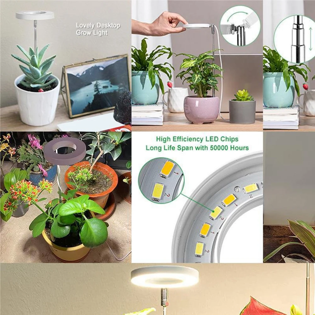 ABRW-LED Grow Light Hydroponics Lamp With Timer For Indoor Plants B