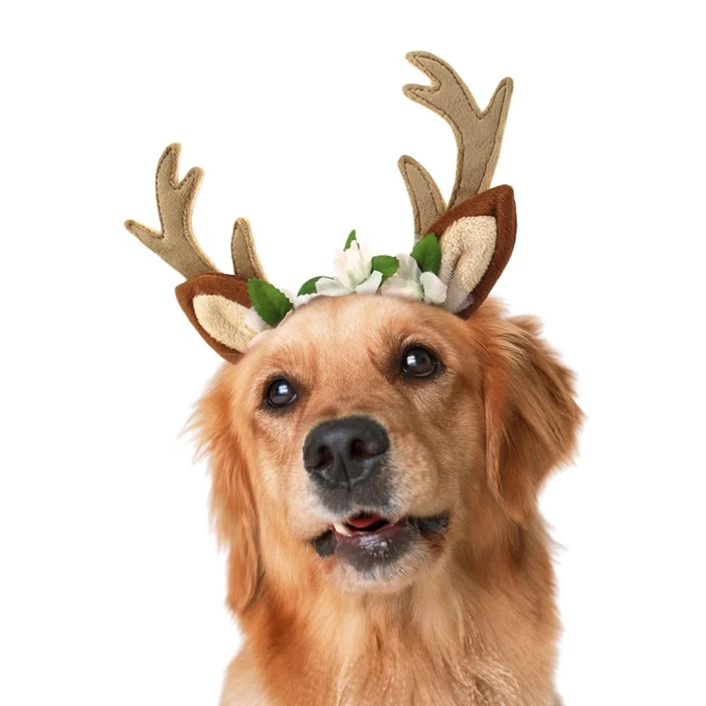 Christmas Pet Antlers Headgear Dog Festival Deer Antlers Head With Cat New Design Party Decoration Pet Dog Cosplay Costume