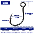 Size 8