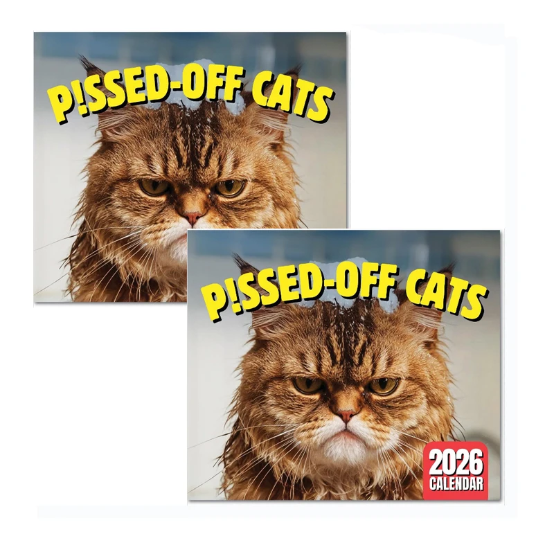 

2025 New Pissed-Off Cat Calendar Wall Calendar Cute Desk Accessories Creative Cat Calendar Art Calendar For Home Office
