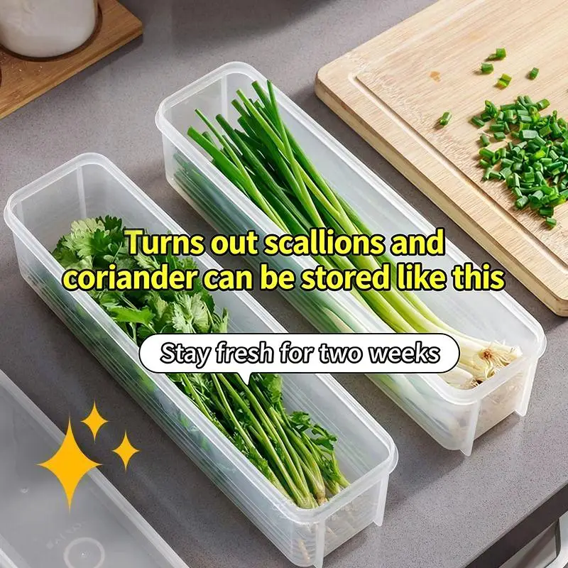 Refrigerator Fresh-keeping Storage Box, Fresh-keeping Artifact,Small Food Preservation Boxes,Transparent Sealed Storage Box
