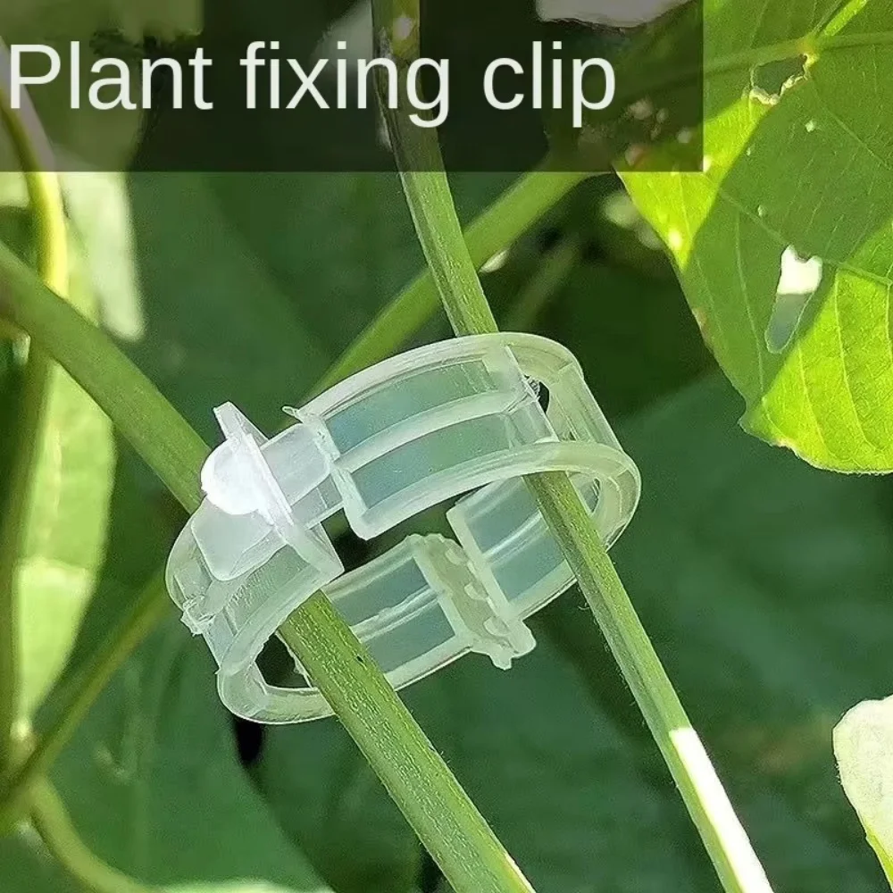 100/200/300pc Plant Support Clips for Wholesale - Reusable Plastic Plant Vine Protection and Grafting Fixing Tools