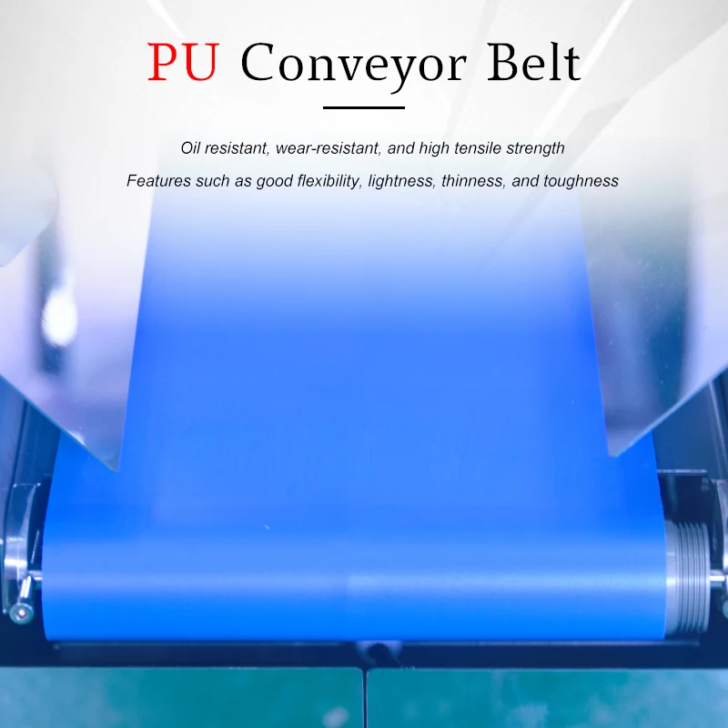 0.1g Small Products Forward And Reverse Checkweigher Left And Right Sorting Scale Check Weigher Accuracr