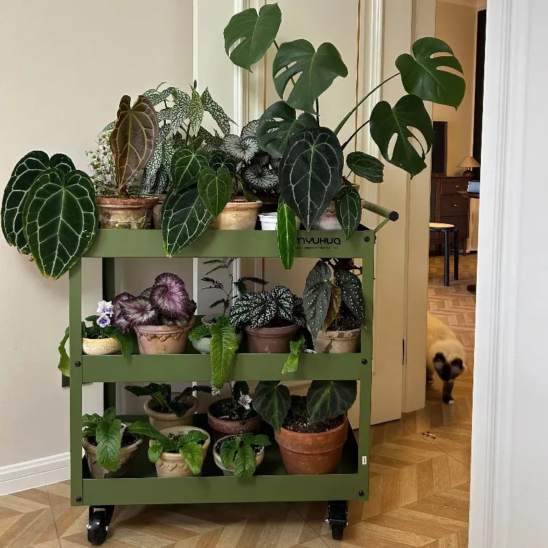 Multi-Functional Utility Trolley,Modern Industrial Style Plant Stand, Rolling Side Cart for Kitchen, Living Room & Balcony Decor