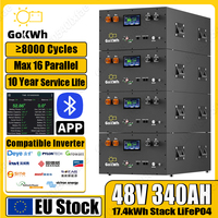 GoKWh 48V 340Ah Home Energy Storage 8000 Cycles LiFePO4 Battery 51.2V 200A BMS LFP On Off Grid Solar Home Solar Electric System