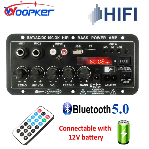 WOOPKER 30W-120W placa amplificadora Digital Bluetooth D10C Subwoofer micrófono Dual altavoz para coche Karaoke cine en casa DIY