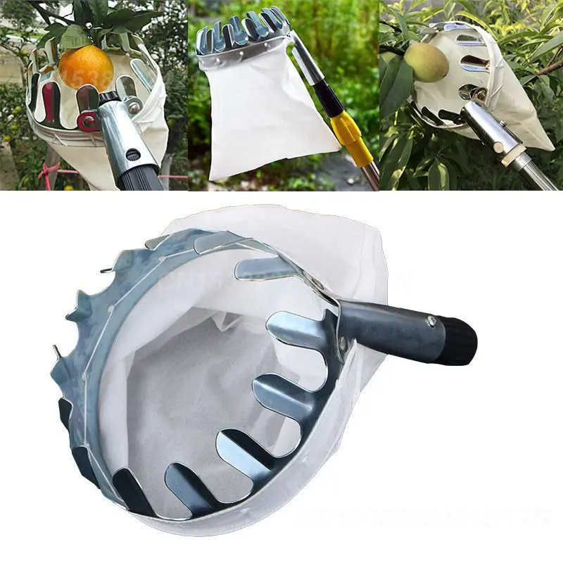 Recolector de frutas de Metal para huerto, recolector de frutas de árbol alto de melocotón, duradero y conveniente, recolector de frutas hortícolas, jardinería