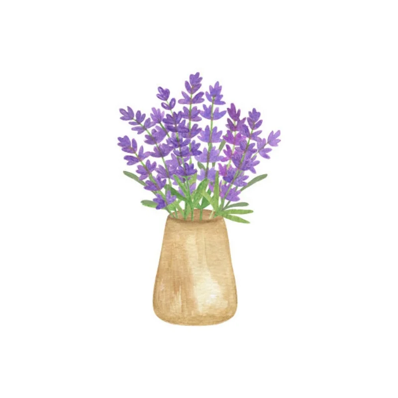 500/conjunto caixa de parafusos portátil para 1/10 rc rastreador carro hsp scx10 trxs TRX-4 TRX-6 tamiya cfx mst hpi kyosho axial d110 d90 peças