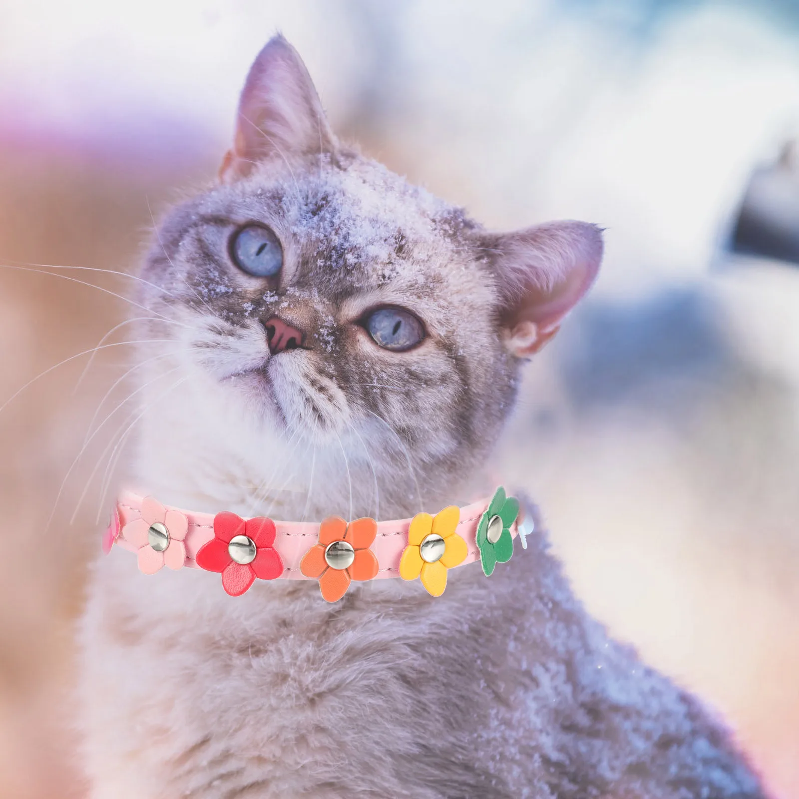 

Small Dog Collar Adjustable PU Chihuahua Collar Comfortable Durable Stylish Pet Necklace for Small Dogs Kitten Party