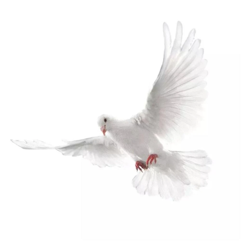 Peace Dove Wall Stickers for Living Room Bedroom Bathroom Vinyl Decals Scratch-Proof Home Decoration Animal Wall Accessories view 6