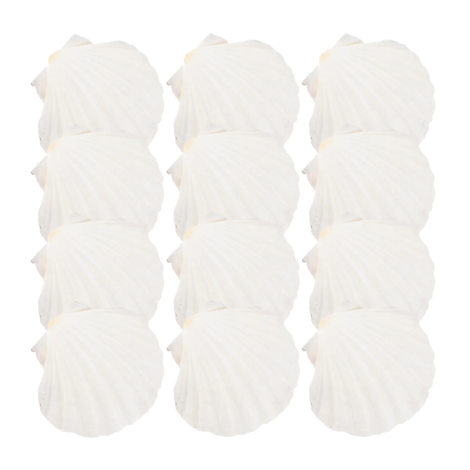 

20Pcs Natural Scallop Shells Baking Grilling Reusable Utensils Easy Clean Portable Outdoor Picnic Beach Party Tableware Set