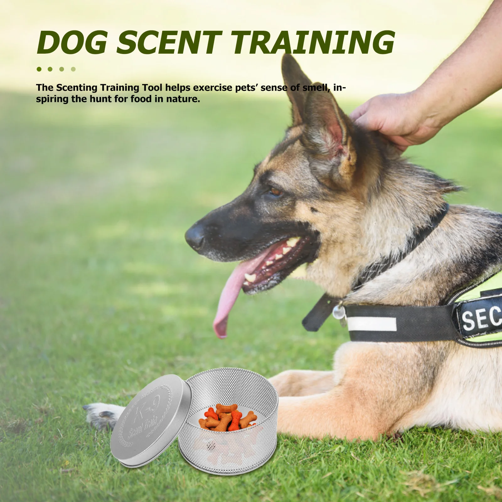 

Dog Scent Training Container Heavy Duty Metal Tin for Canine Nose Detection Practice Outdoor Scent Work Exercise Tool for Pets