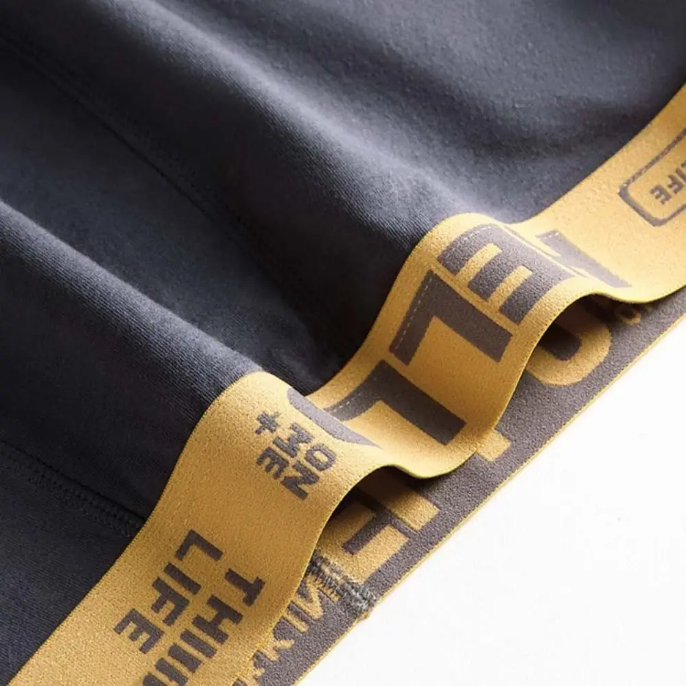 5PCS Simple Low Waist Men Thin Panties Male Lingerie Briefs Underwear for Men Elastic Letter Underpants Gifts