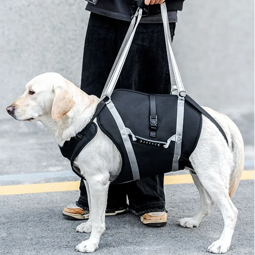 imbracatura-regolabile-per-cani-di-taglia-grande-riflettente-con-chiusura-a-fibbia-supporto-per-recupero-resistente-all'usura-con-comoda-maniglia