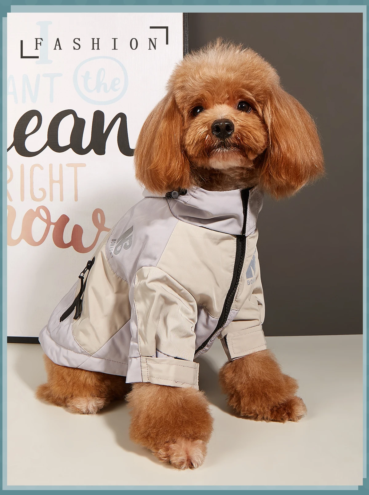 Wasserdichte Kleidung für große Hunde, Winter, warm, Haustier-Regenmantel für mittelgroße und große Hunde, modische coole Hundejacke, französische Bulldogge, Chihuahua-Outfit – Detail 12