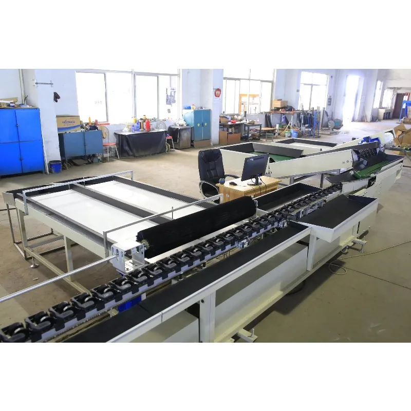 Citrus Orange Processing Sorting Machine Waxing Washing Vegetable Fruit Machine