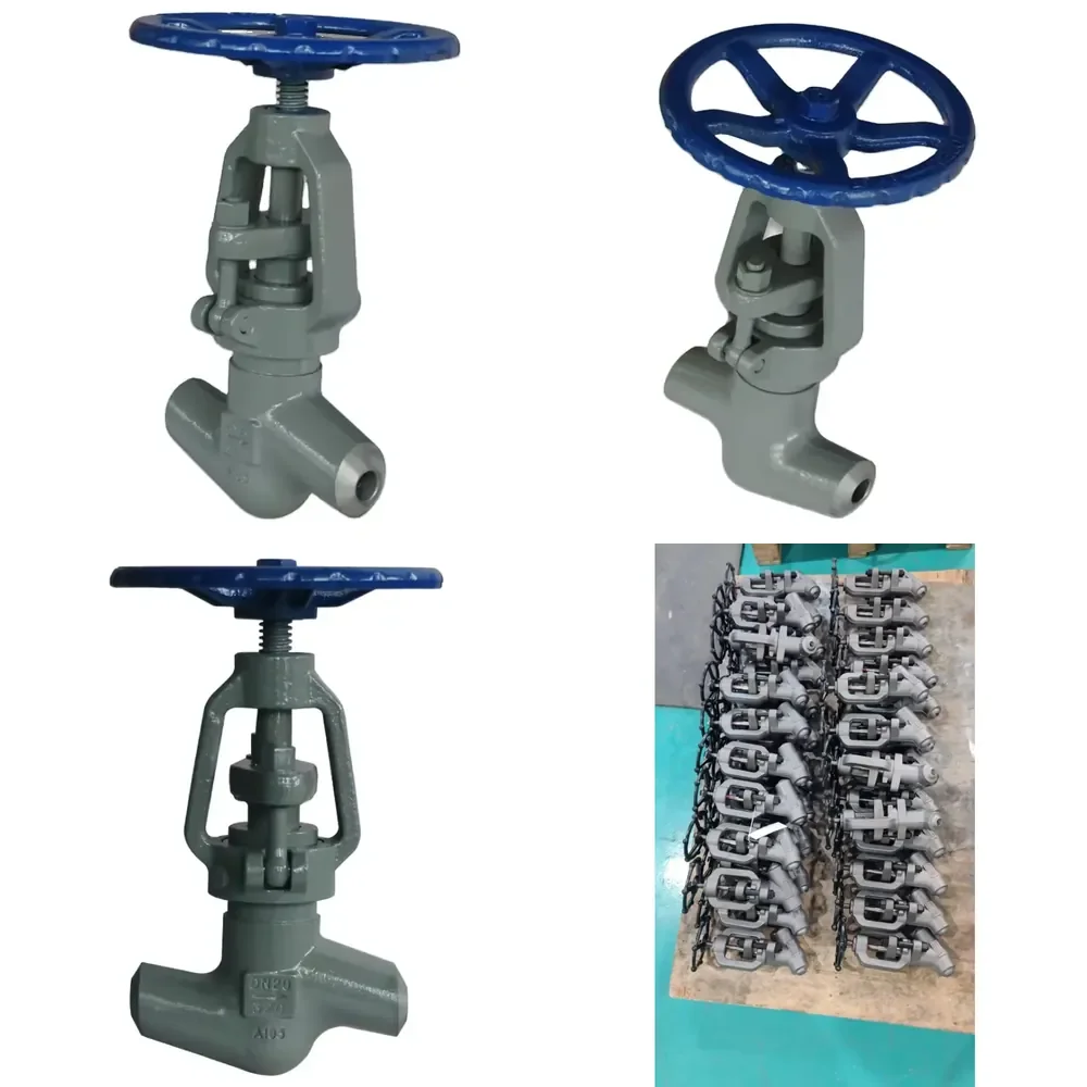 PN320 High Pressure Valve DN25 Globe Valve BW End 12CrMoV Material