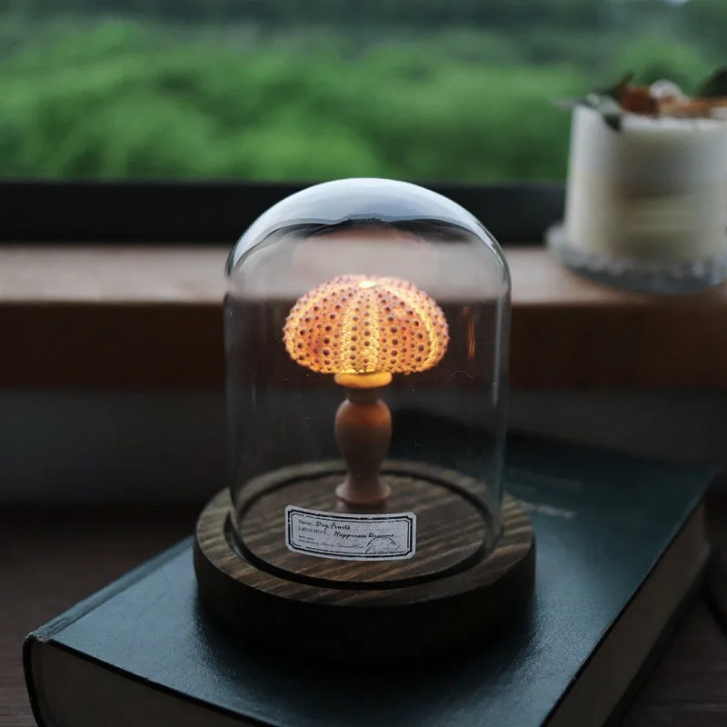 Shell Sea Urchin Lamp Study Desk Decoration Ornament Indoor Room Bedside Night Light Handmade Diy Material Package Holiday Gift image 5