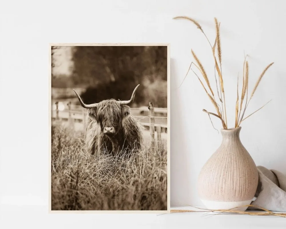 صورة منزل ريفي غربي ، ملصقات ومطبوعات بقر هايلاند ، فن جداري من قماش الكانفاس ، صورة لديكور غرفة المعيشة