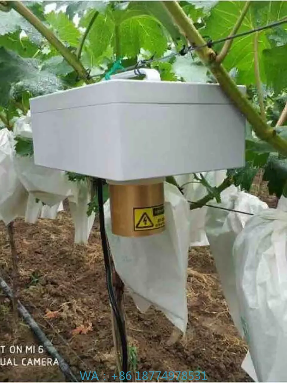 

peller for Air Port Fruits FarmWholesale Powerful Bird Re