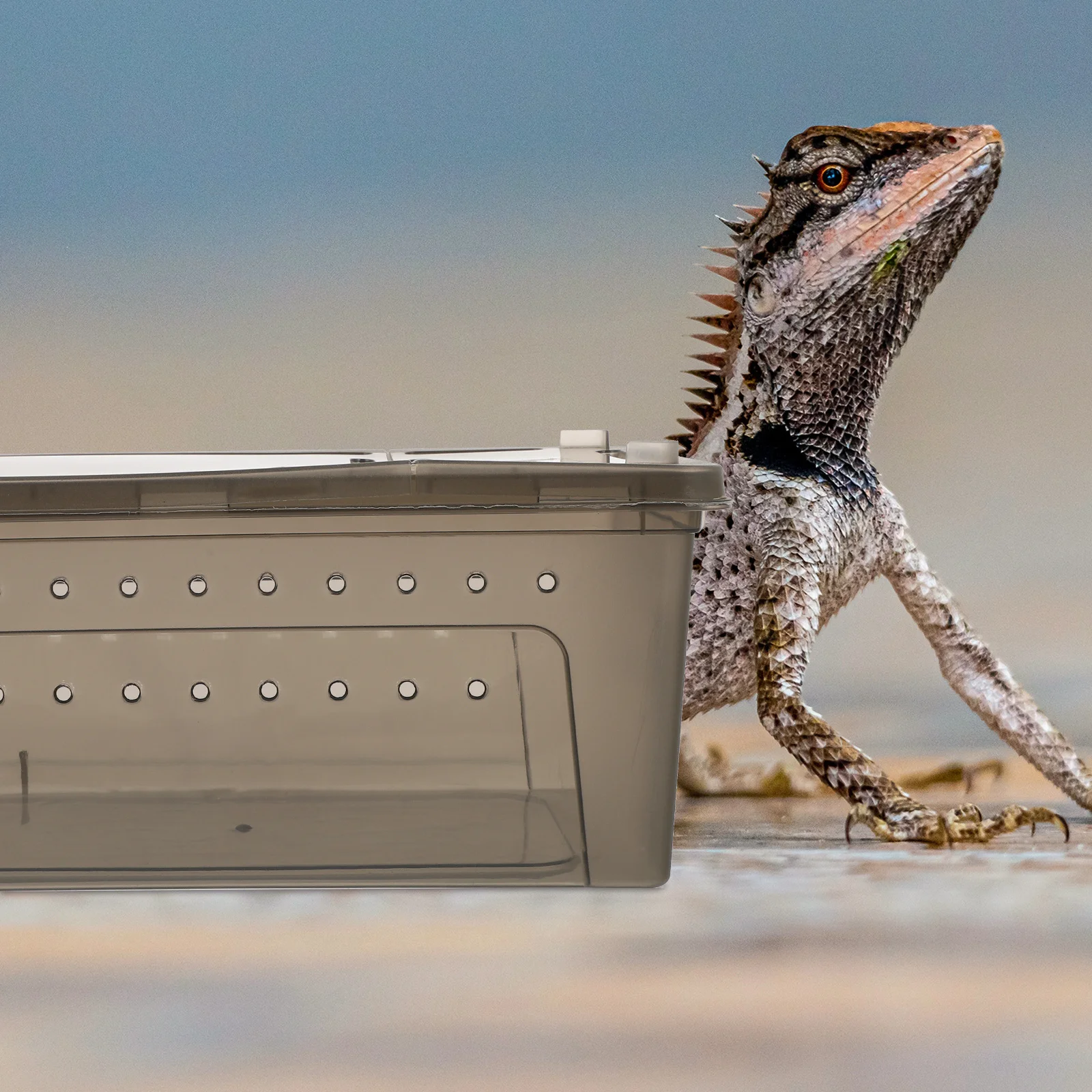 

Plastic Reptile Terrarium Small Lightweight Safe Durable Pet Breeding Box Reptile Supply for Crabs Spiders Turtles