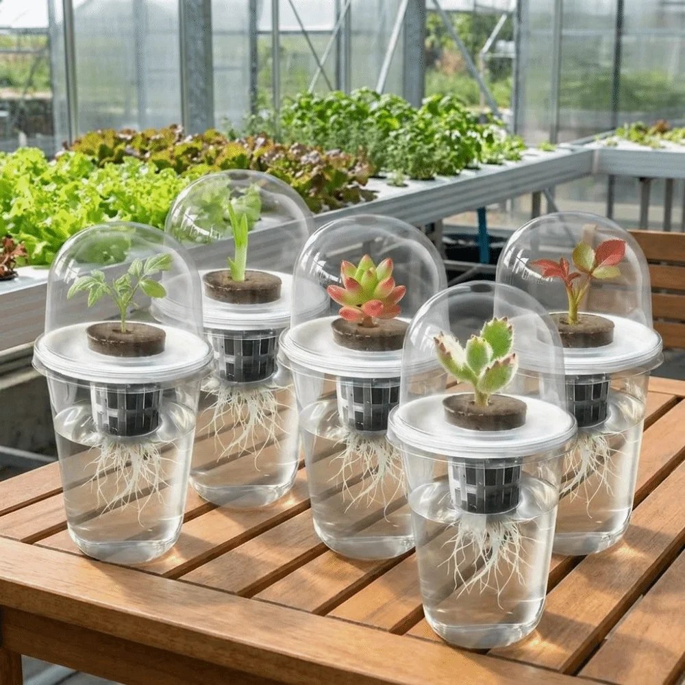 Reusable Plastic Root View Cups Visible Transparent Cylindrical Planter Pots Self Watering Plant Propagation Cup Greenhouse