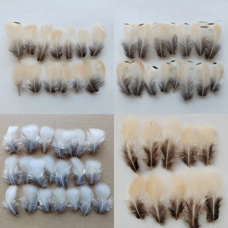 50Pcs - NATURAL Beige & Grey Chukar Partridge Hen Feathers 3-7cm Long for Craft, Millinery, and Fly Fishing - 4 Models Available